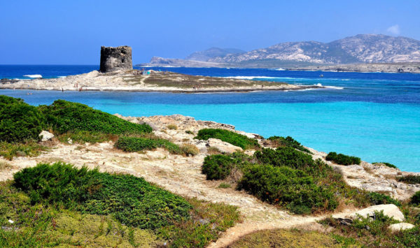 Vacanze in Sardegna: la meta estiva più ambita del mar mediterraneo!